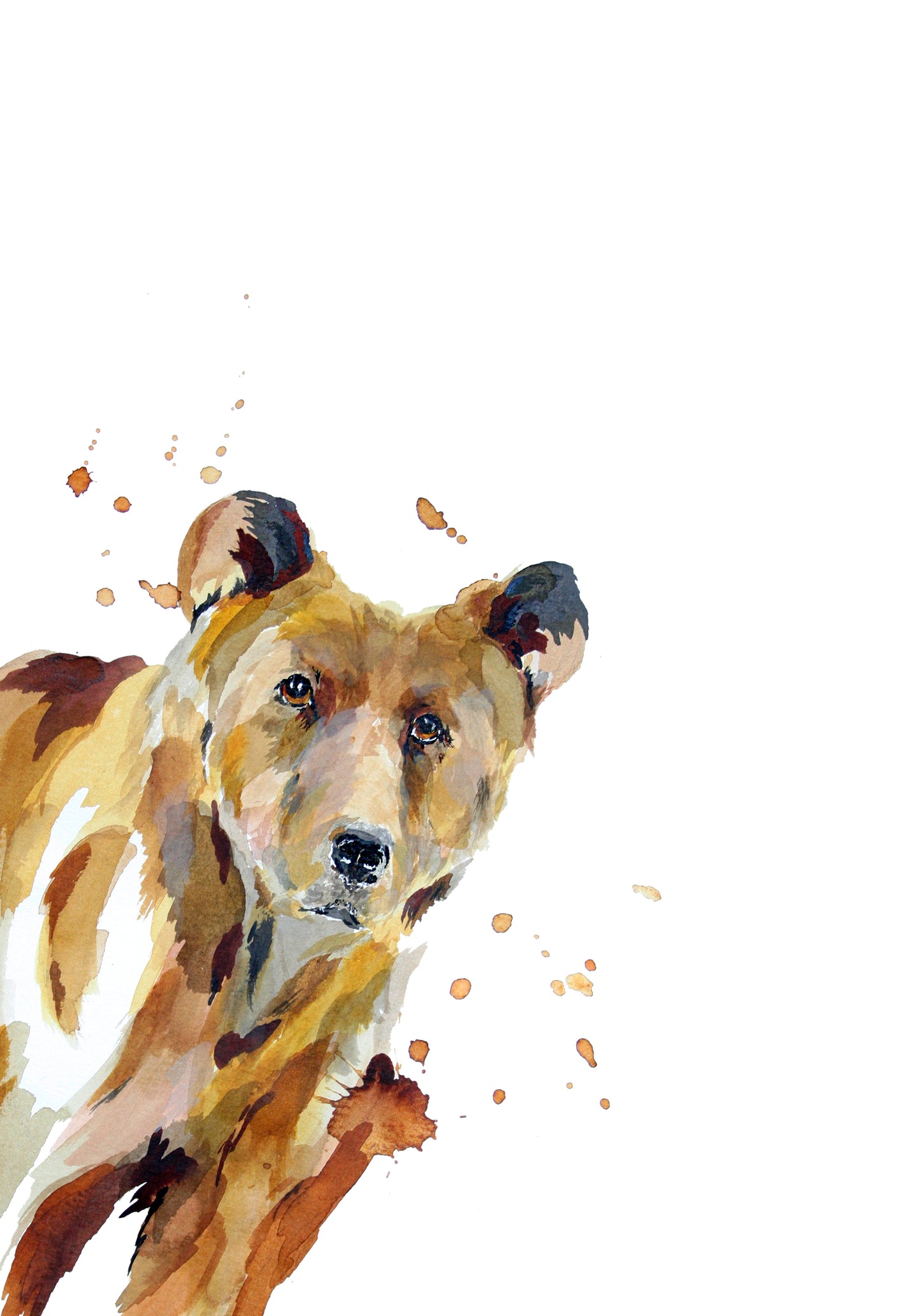 Clearance Poster Print - Curious Bear