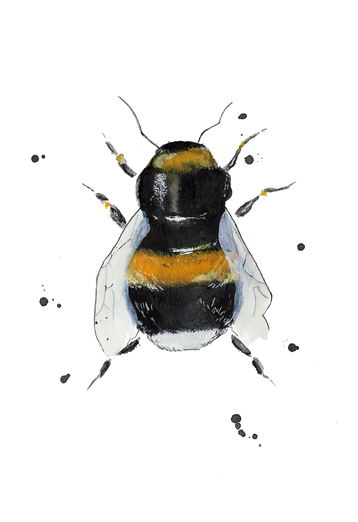 Gift Card x 5 - Bees