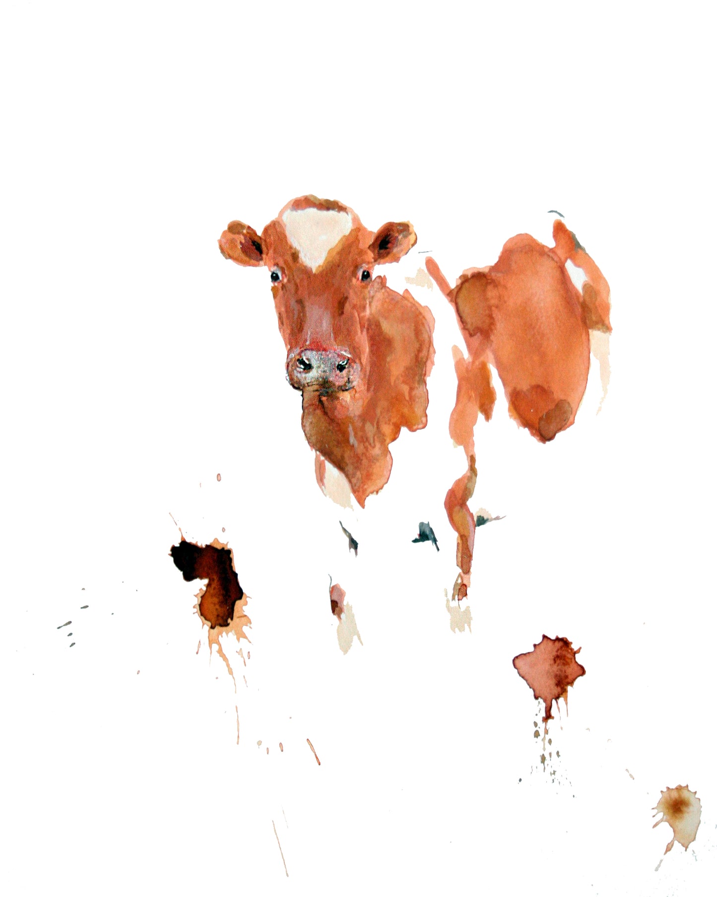 Gift Cards 5 Pack Assorted - Barnyard