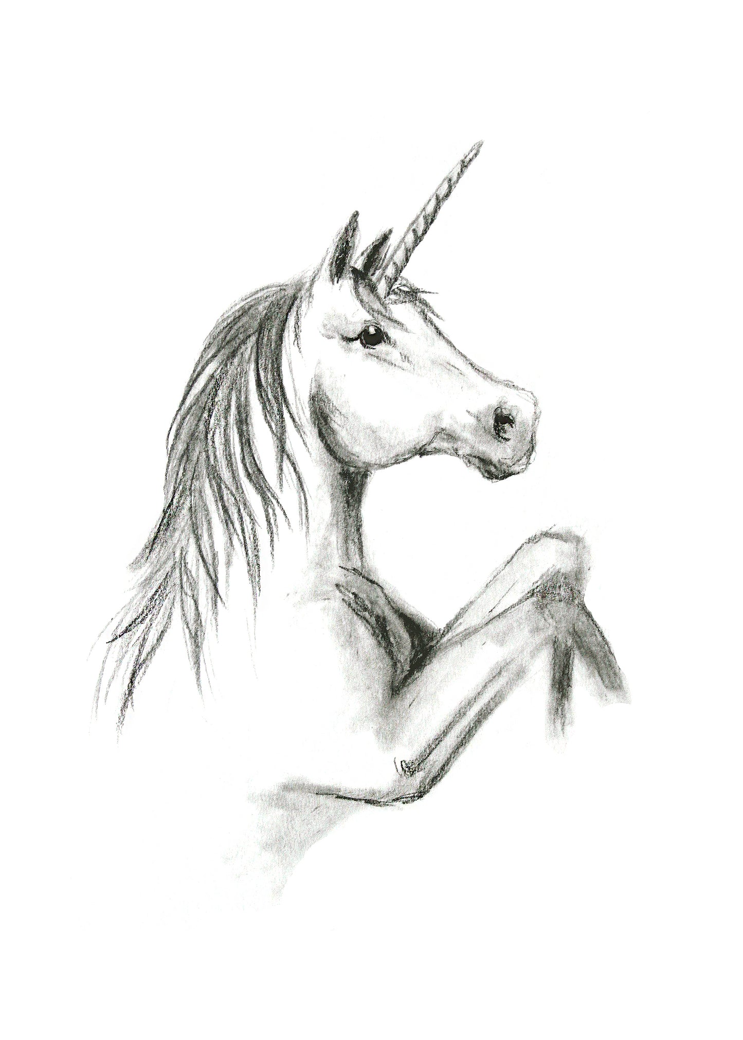 Poster Print - Everything is Magical Unicorn