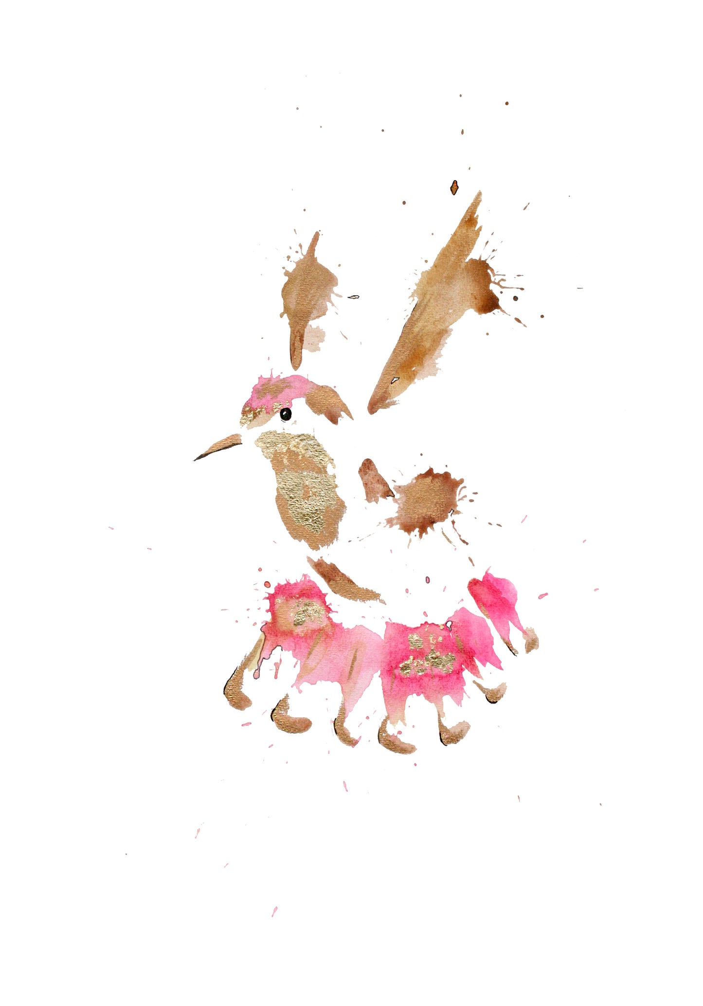 Gift Cards 5 Pack Assorted - Birds III