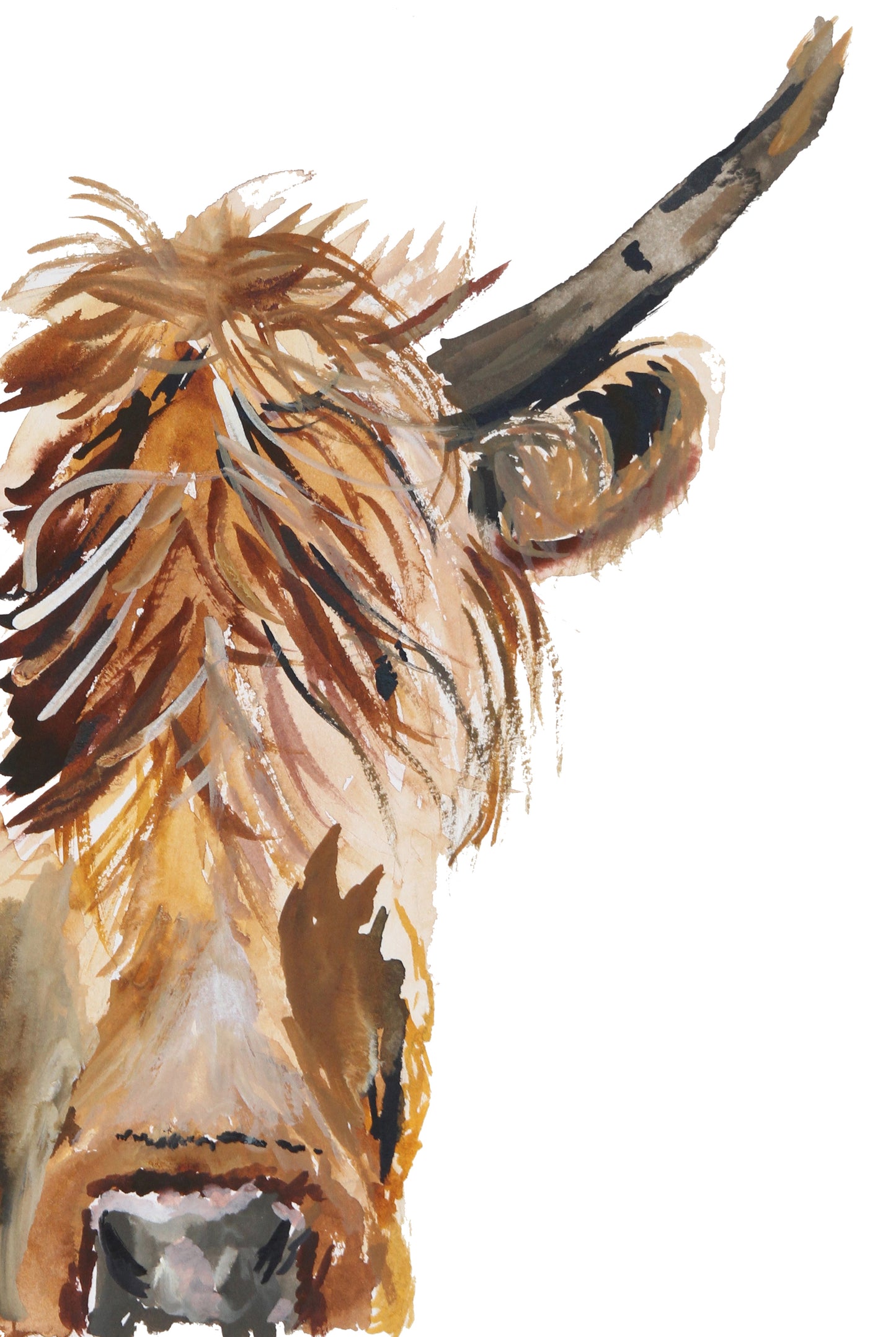 Gift Cards 5 Pack Assorted - Barnyard