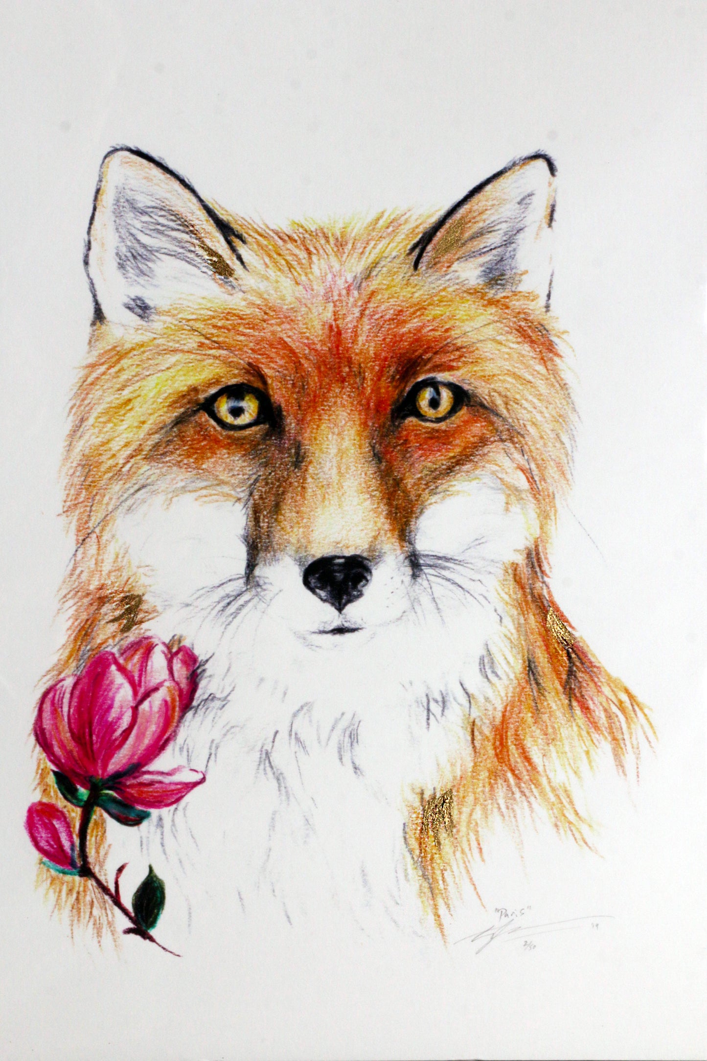 Limited Edition Fine Art Print - Fox
