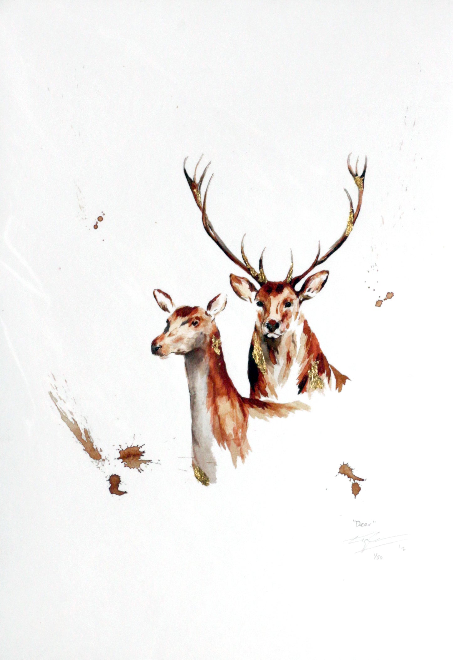 Limited Edition Fine Art Print - Deer