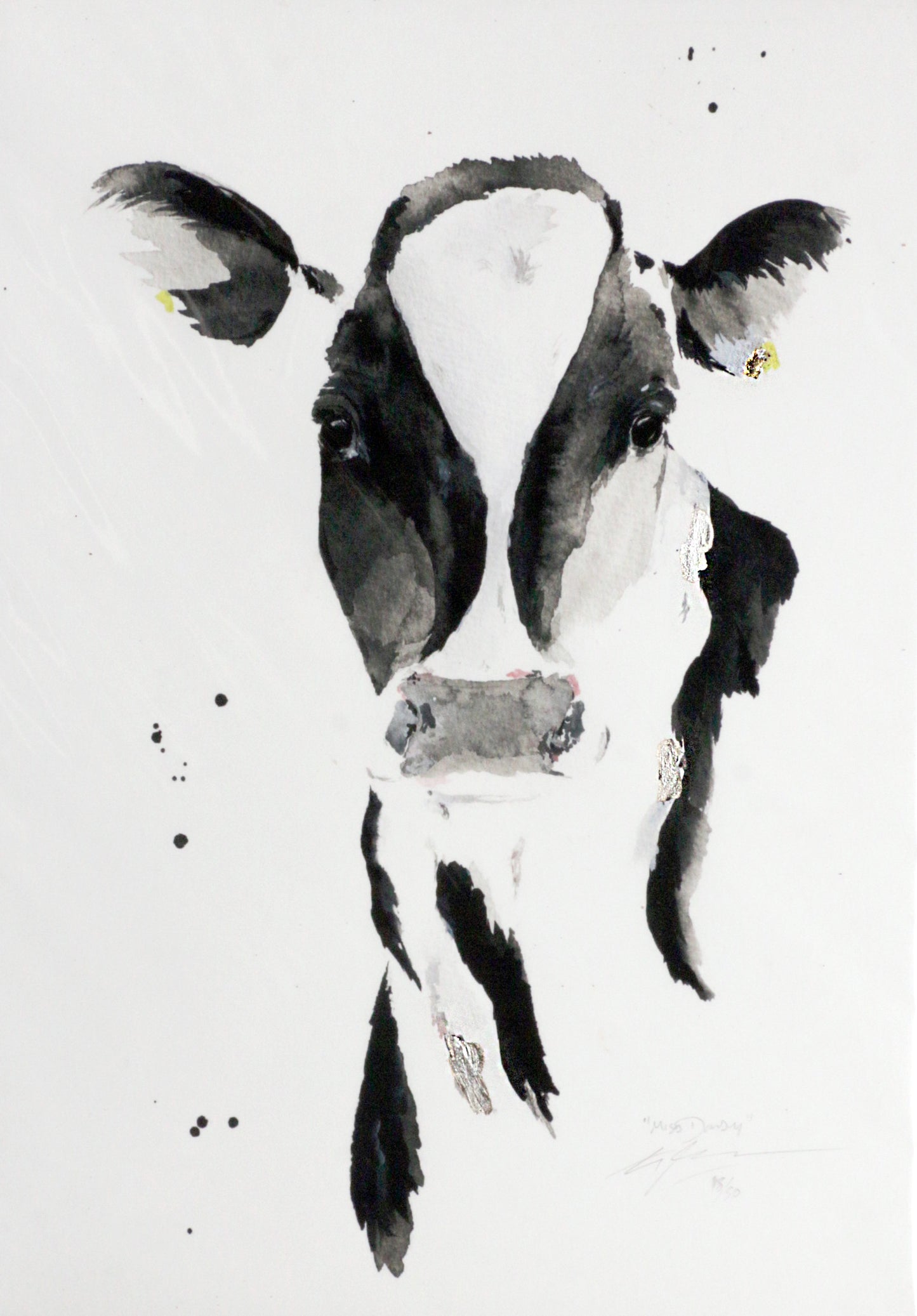 Limited Edition Fine Art Print - Cow