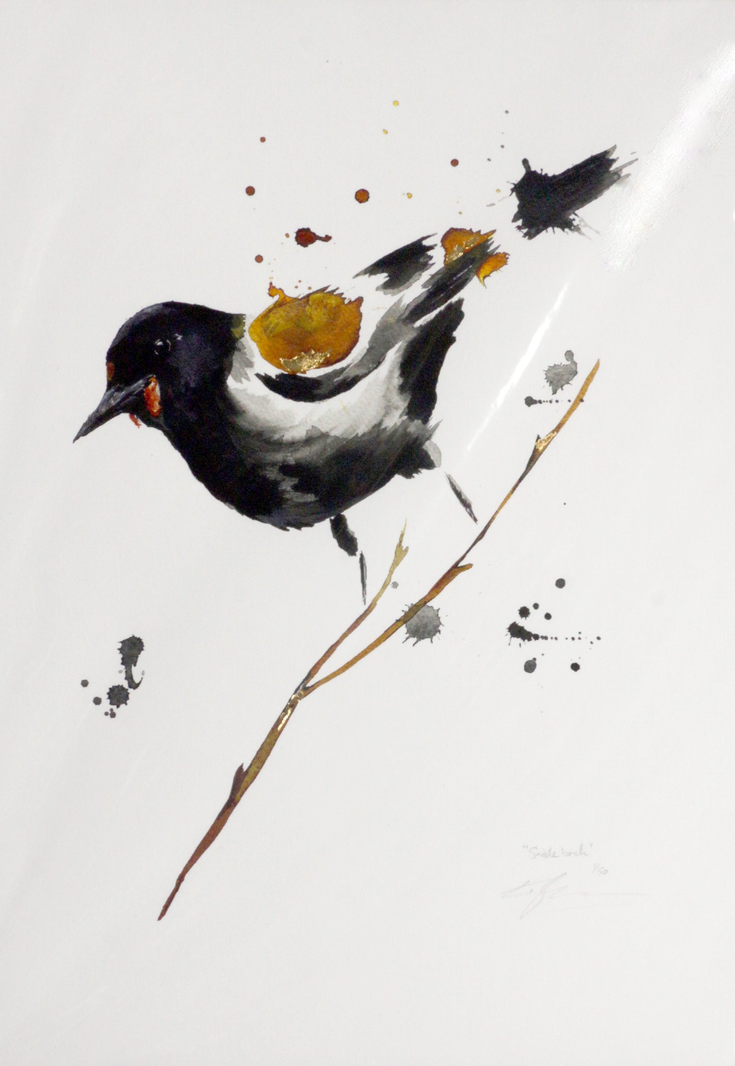 Limited Edition Fine Art Print - Saddleback