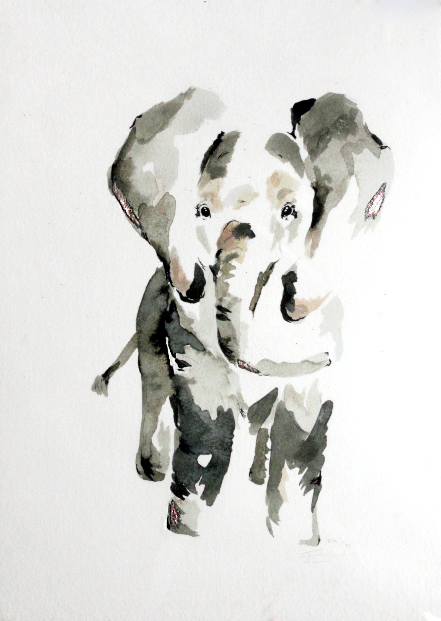 Limited Edition Fine Art Print - Elephant
