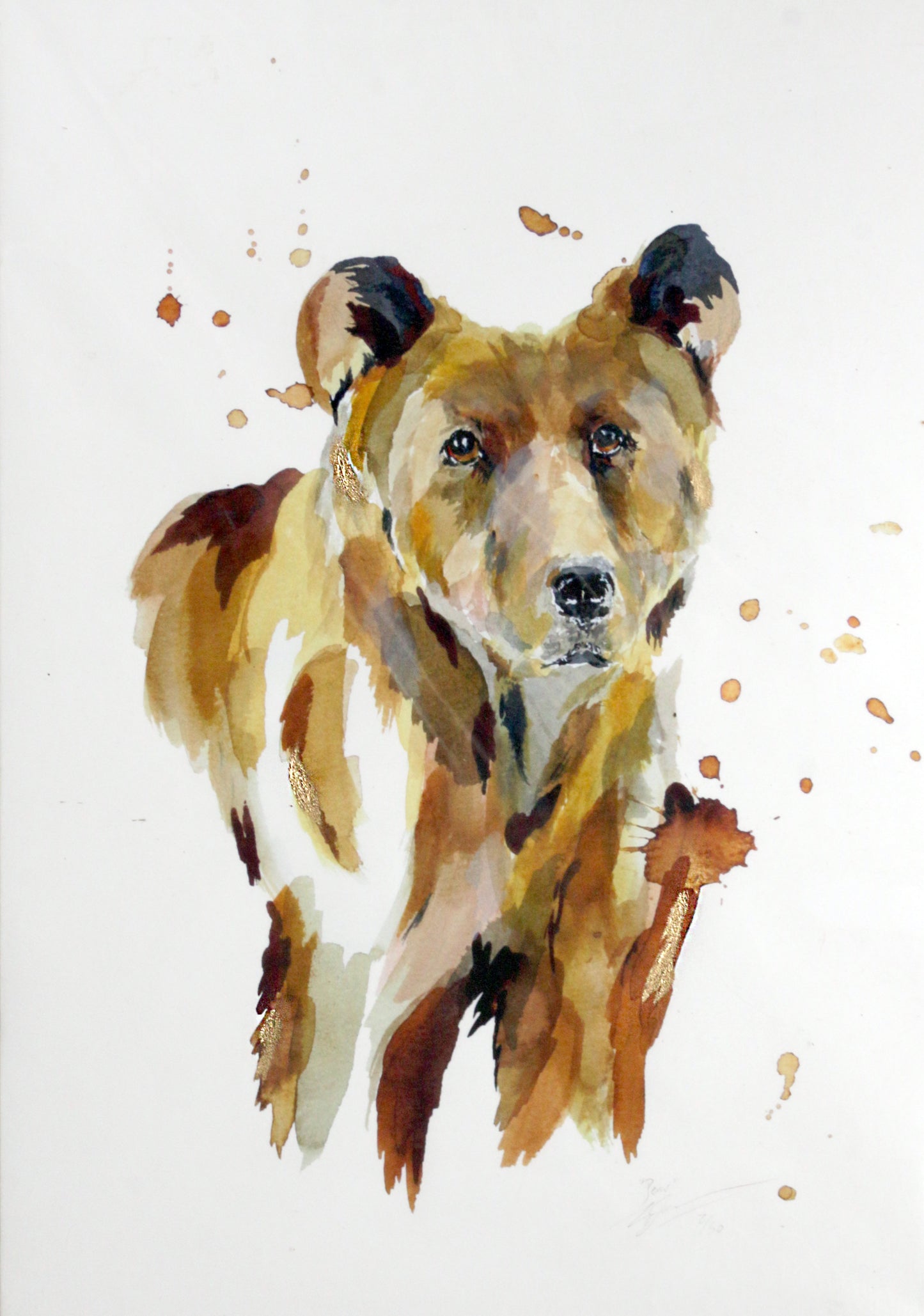 Limited Edition Fine Art Print - Bear