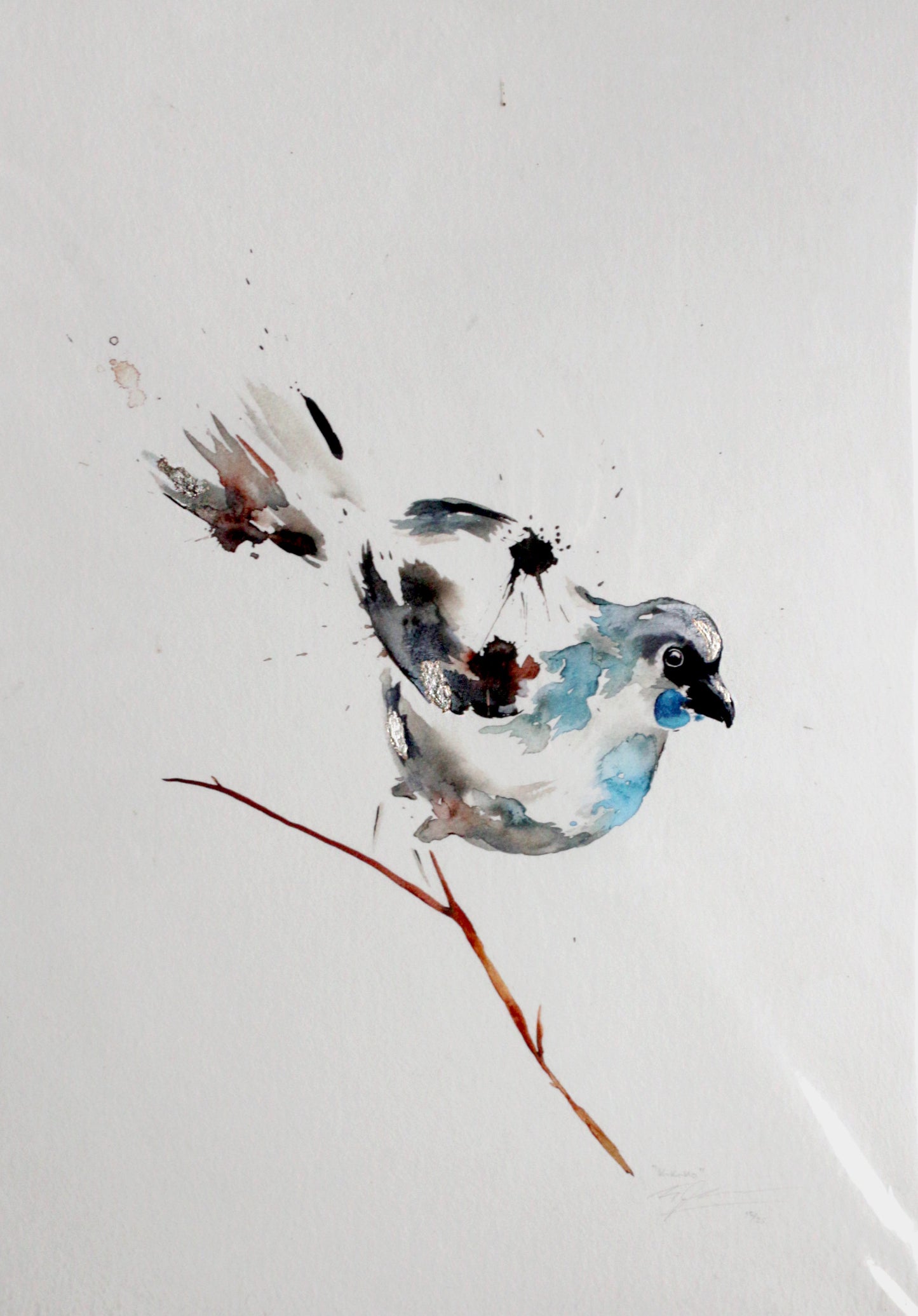 Limited Edition Fine Art Print - Kokako