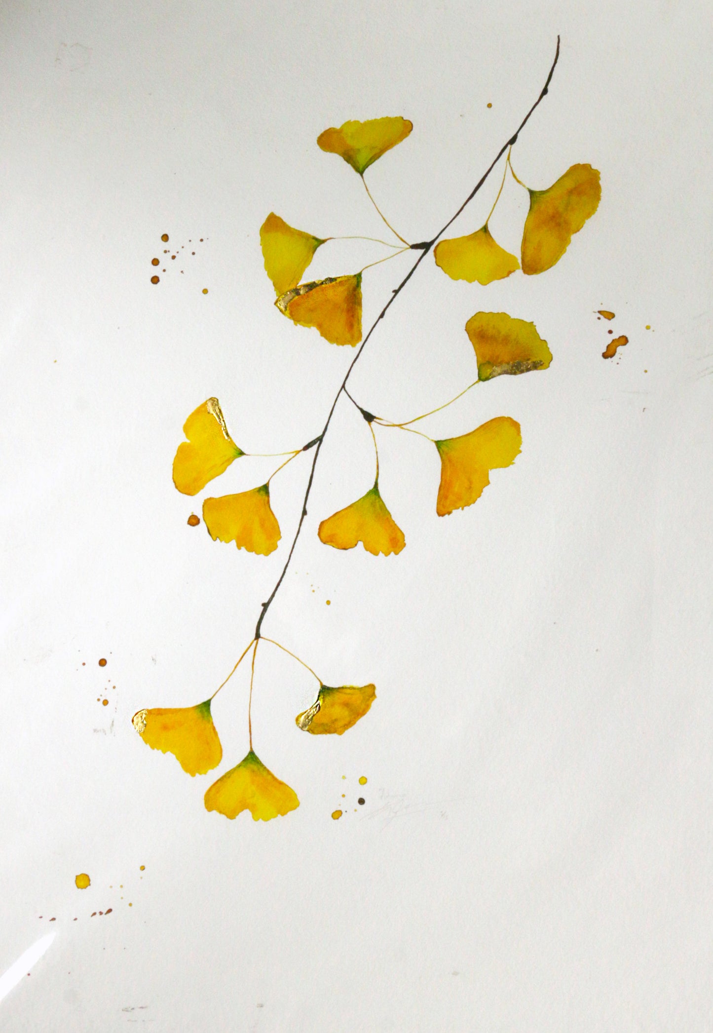 Limited Edition Fine Art Print - Ginkgo