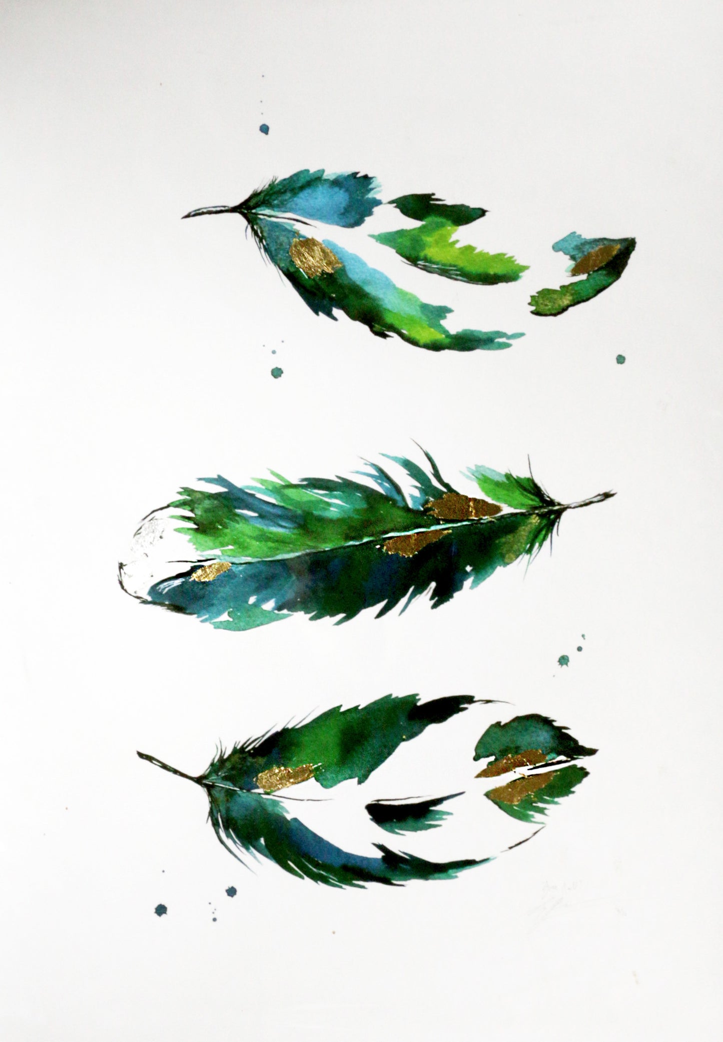 Limited Edition Fine Art Print - Feathers