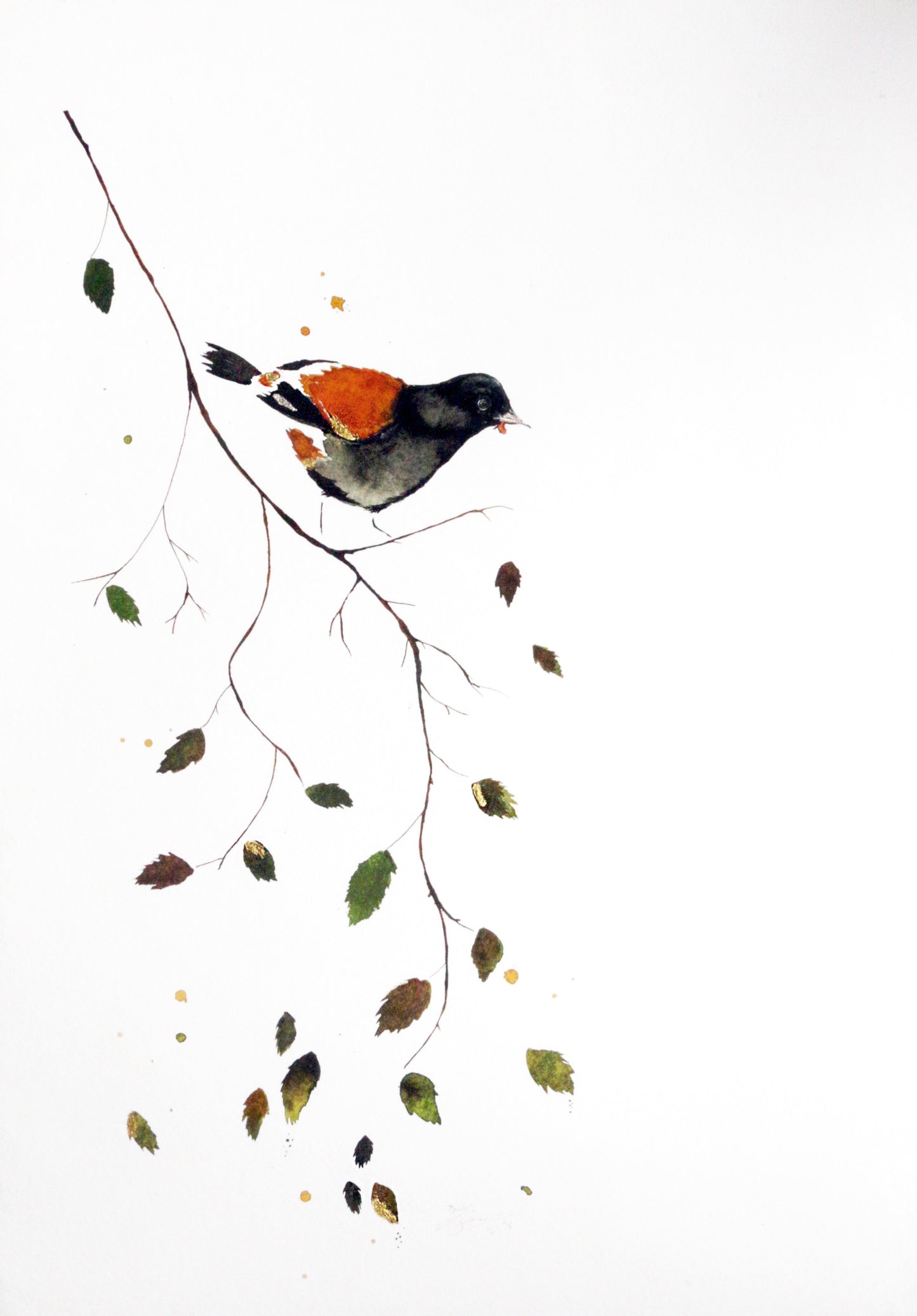 Limited Edition Fine Art Print - Birch