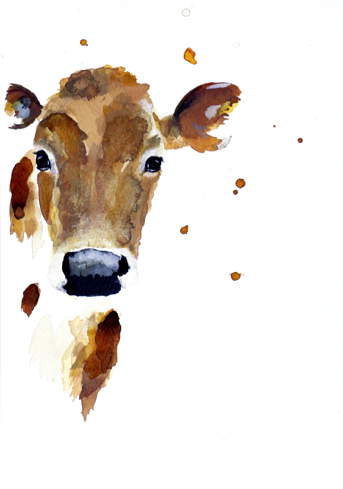 Gift Cards 5 Pack Assorted - Barnyard
