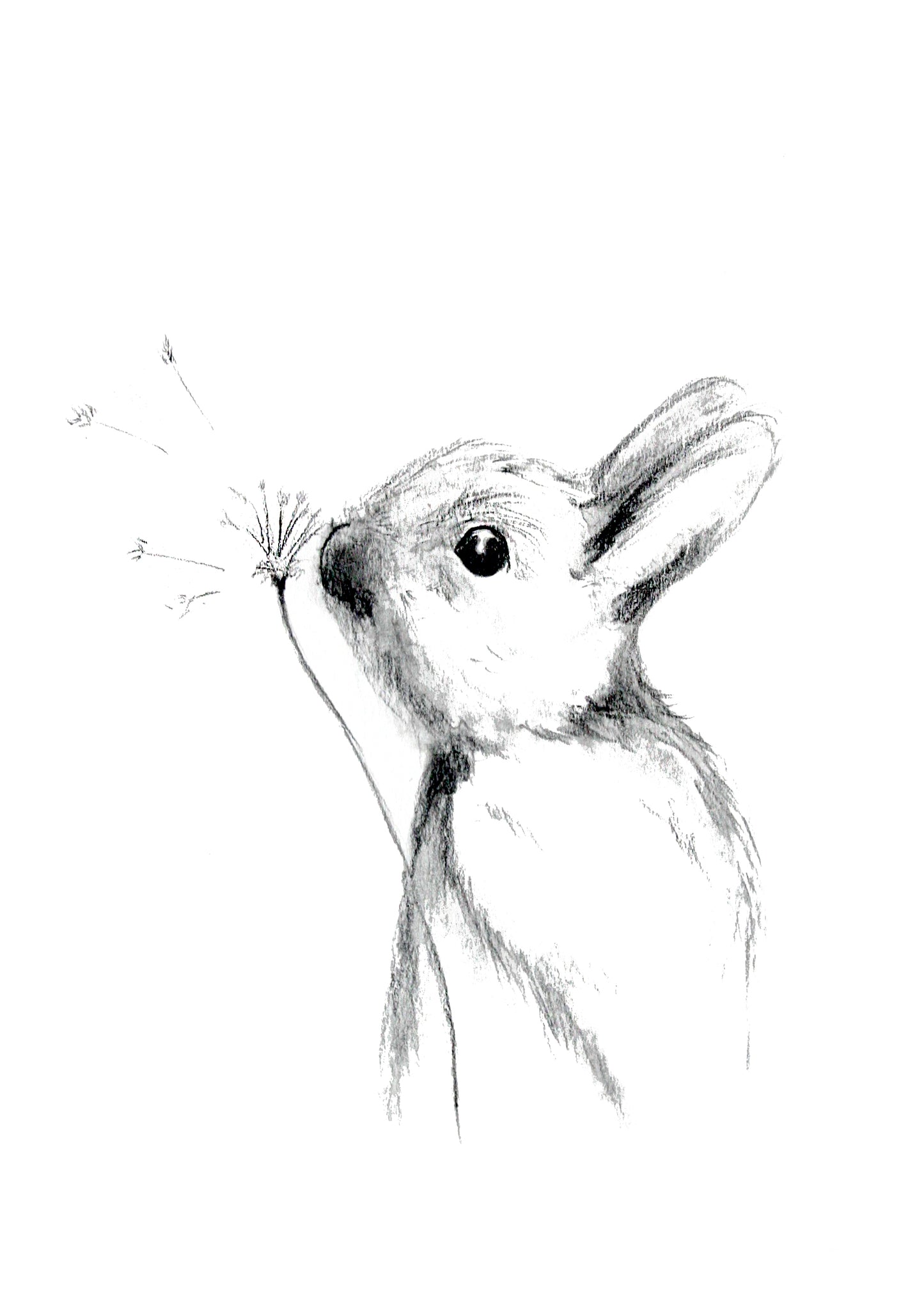 Poster Print - Make a Wish Rabbit