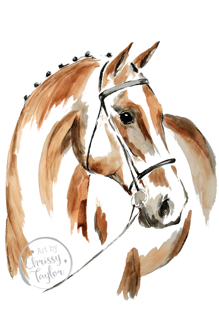 Poster Print - Bay Horse