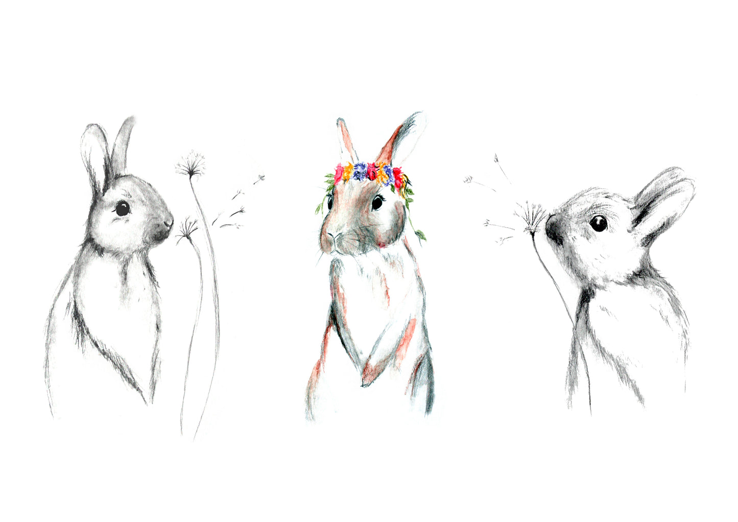 Poster Print - Rabbits Trio