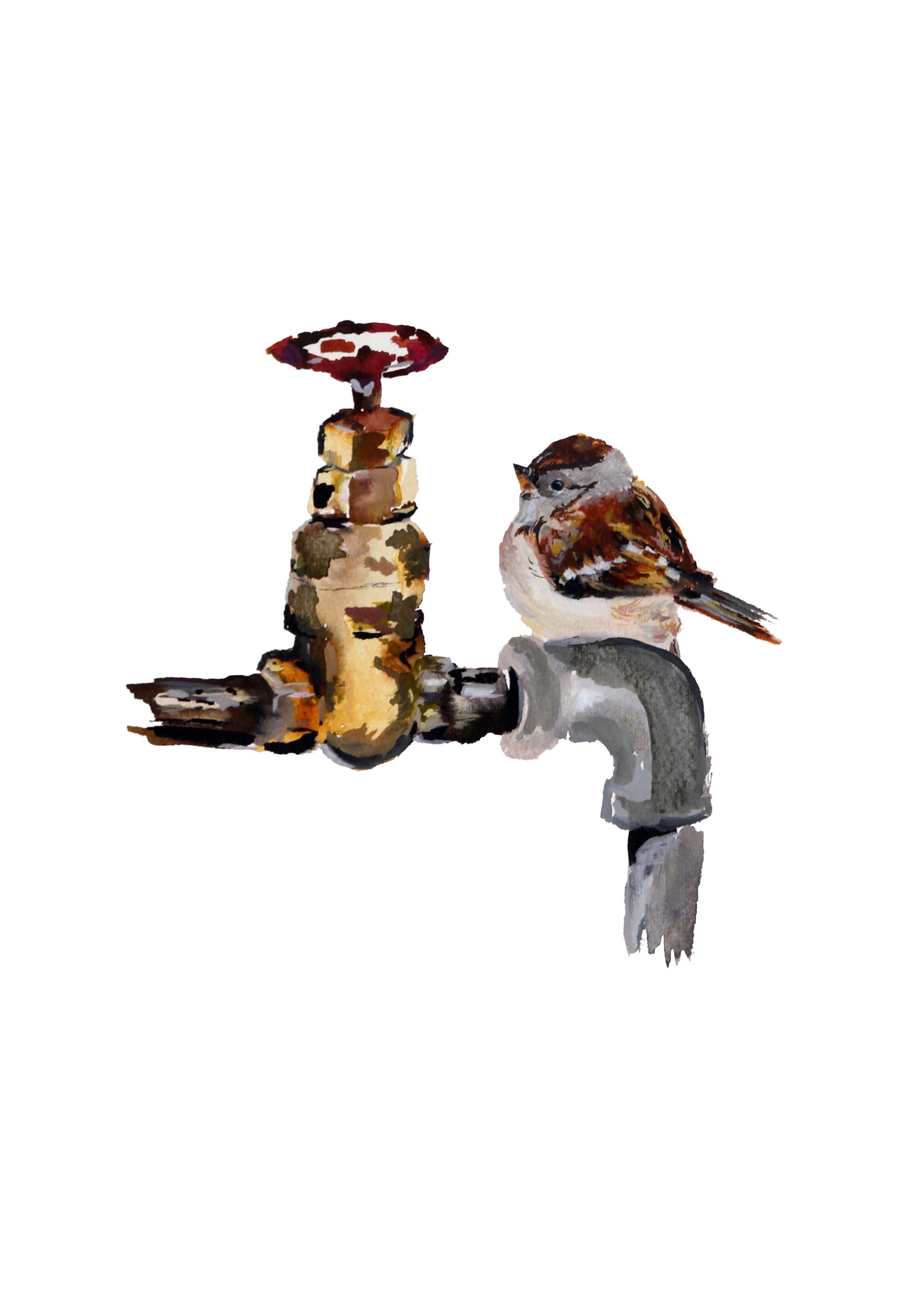 Limited Edition Fine Art Print - Sparrow on Tap