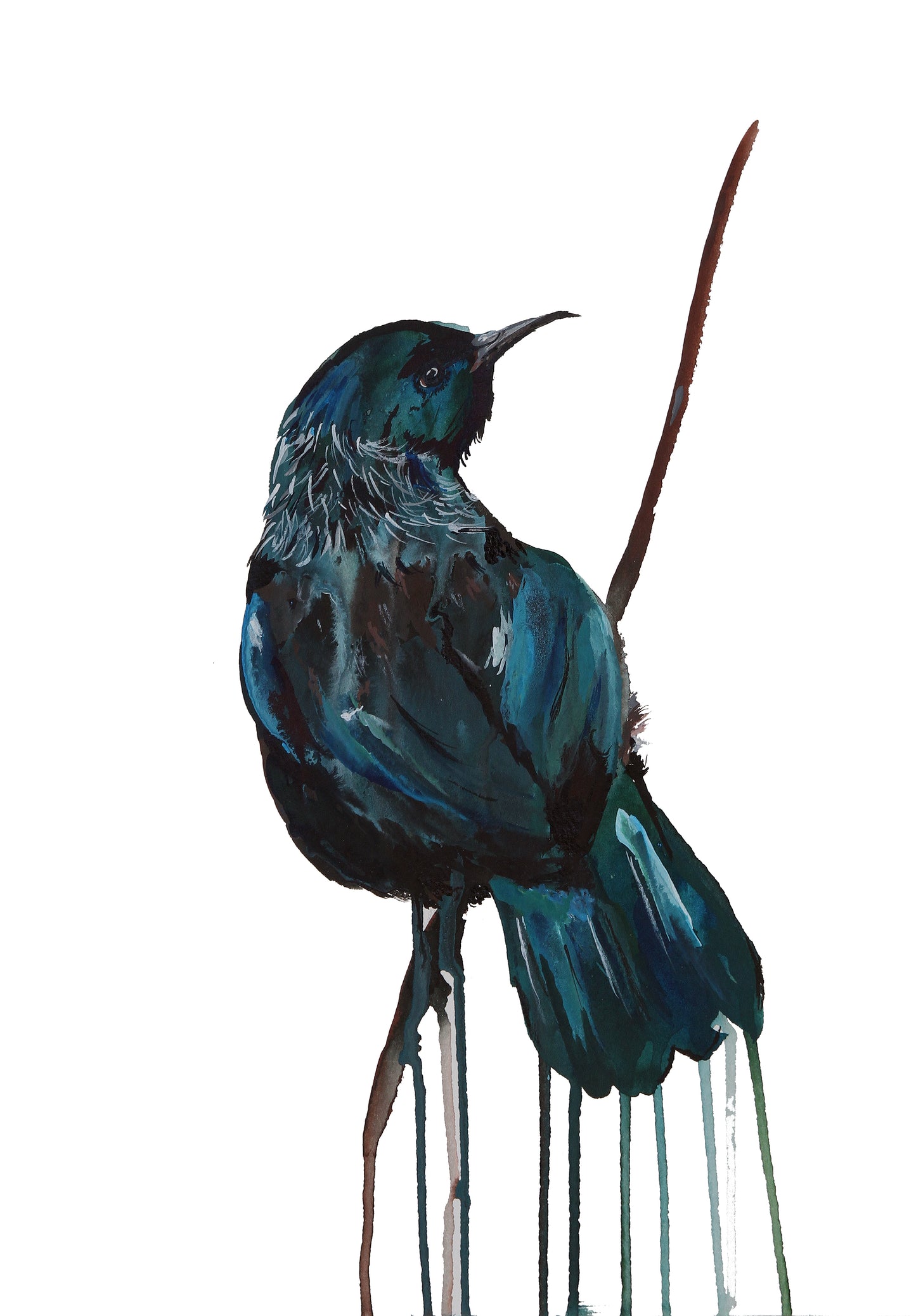 Gift Cards 5 Pack Assorted - Birds II