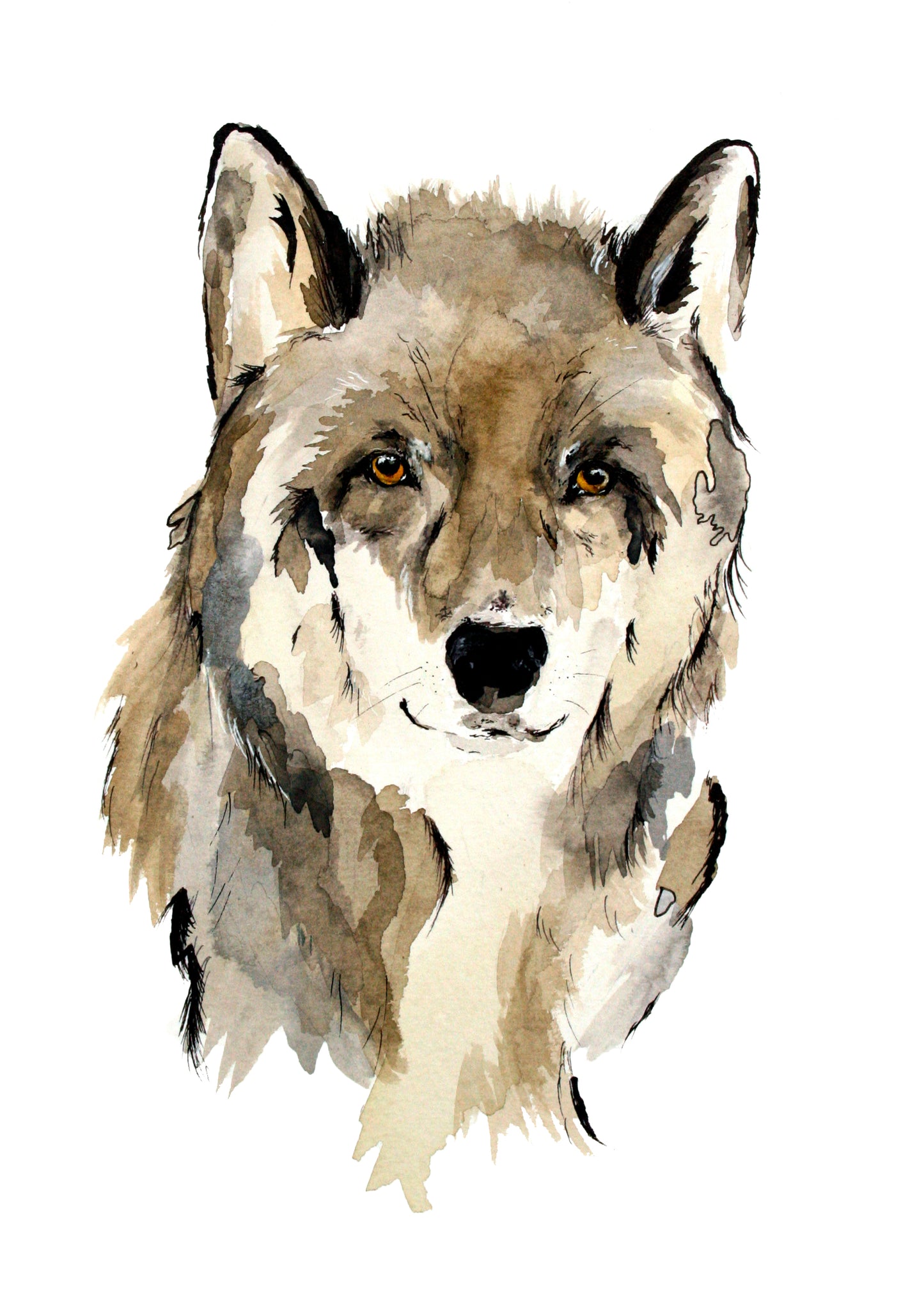 Gift Cards 5 Pack Assorted - Wildlife