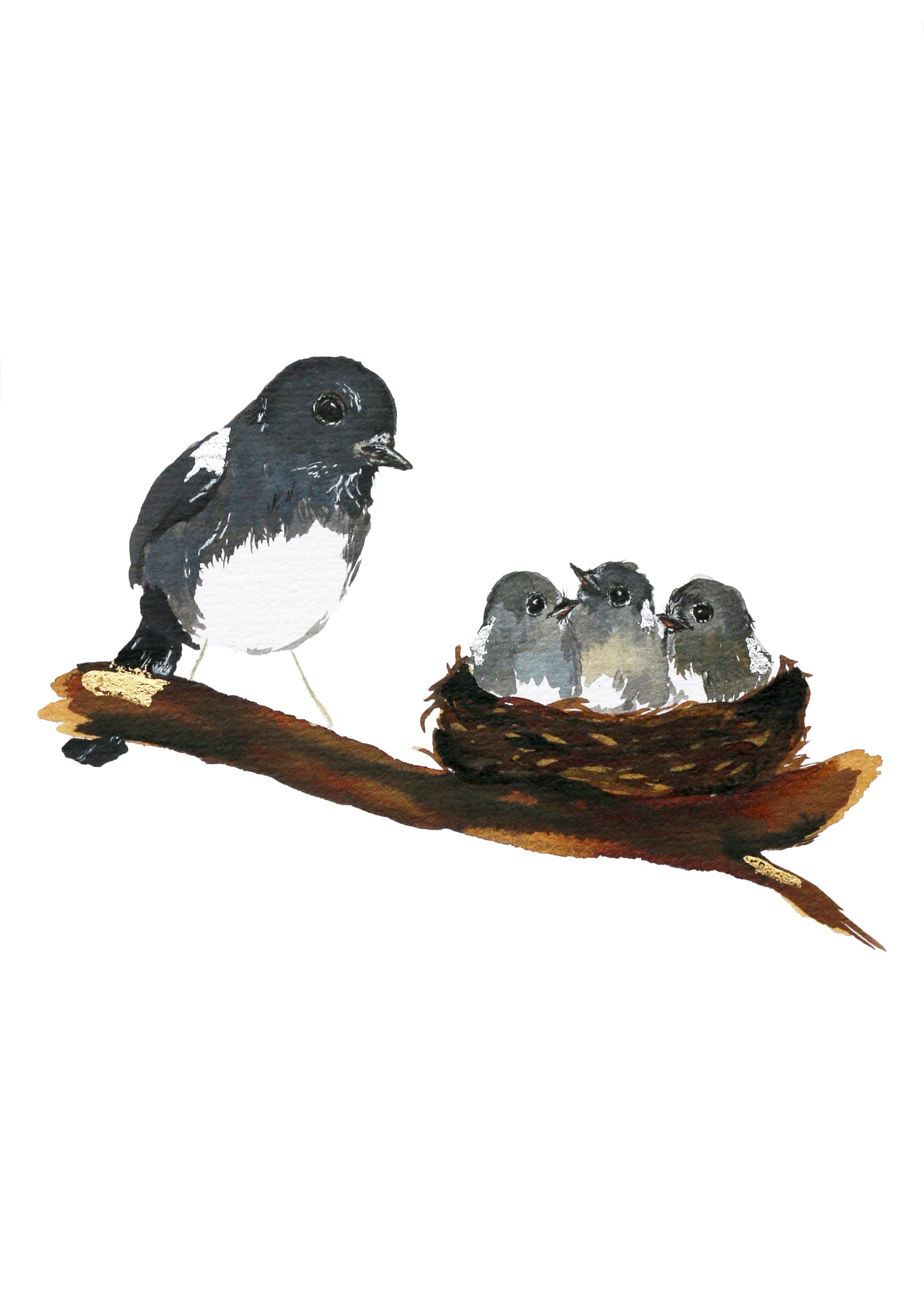 Fine Art Print - NZ Robin