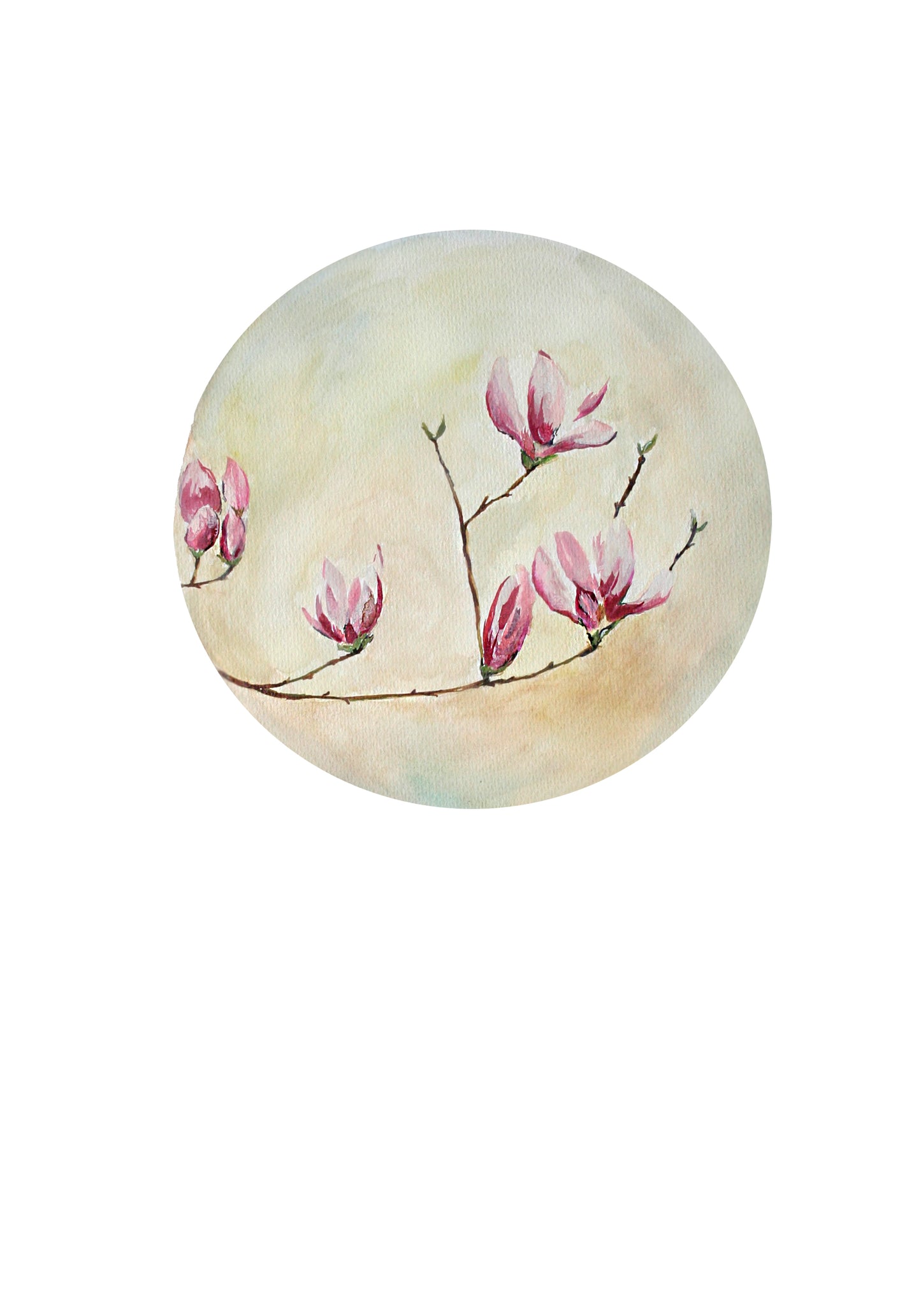 Clearance - Poster Print Magnolias
