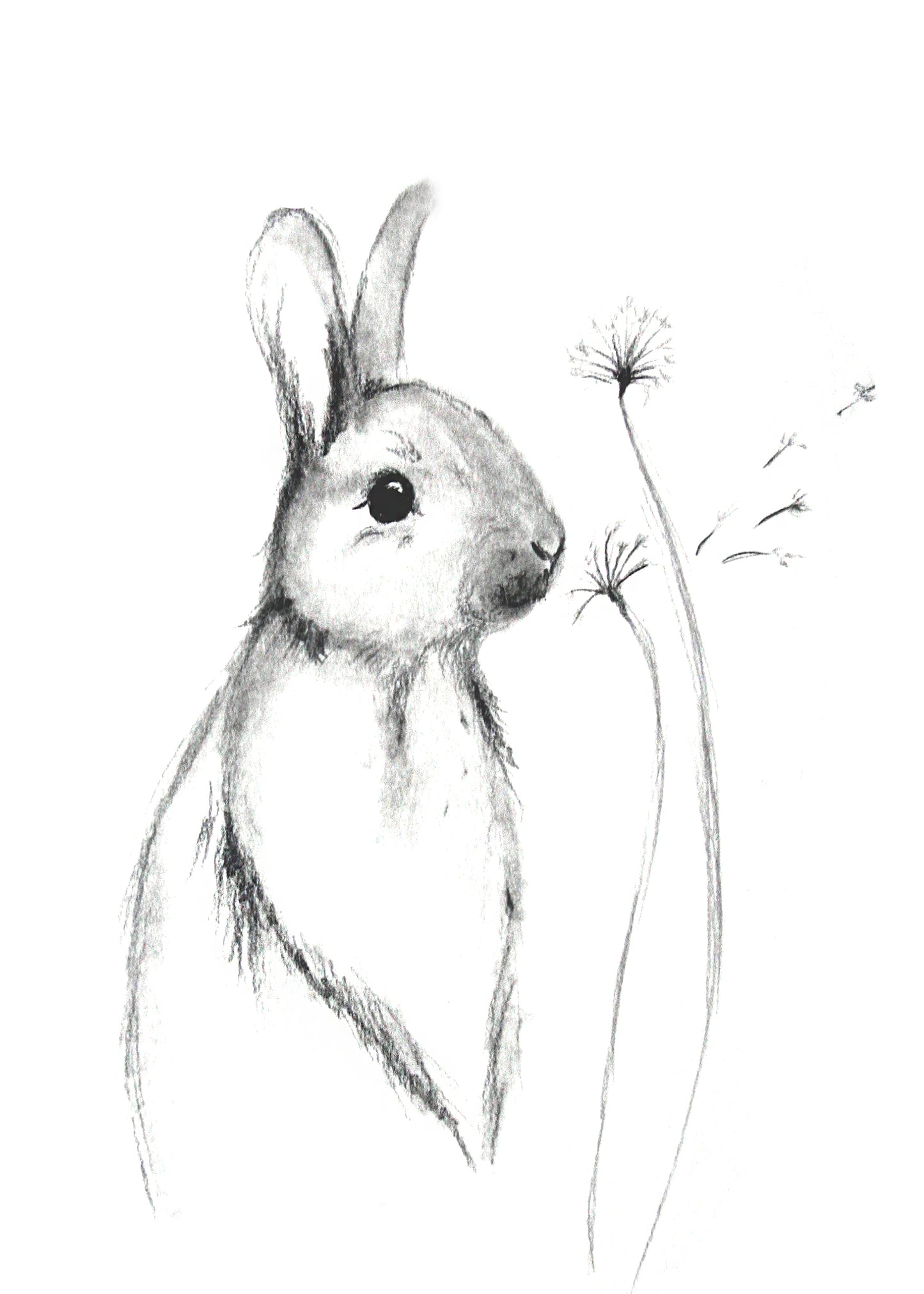 Poster Print - Wishful Thinking Bunny