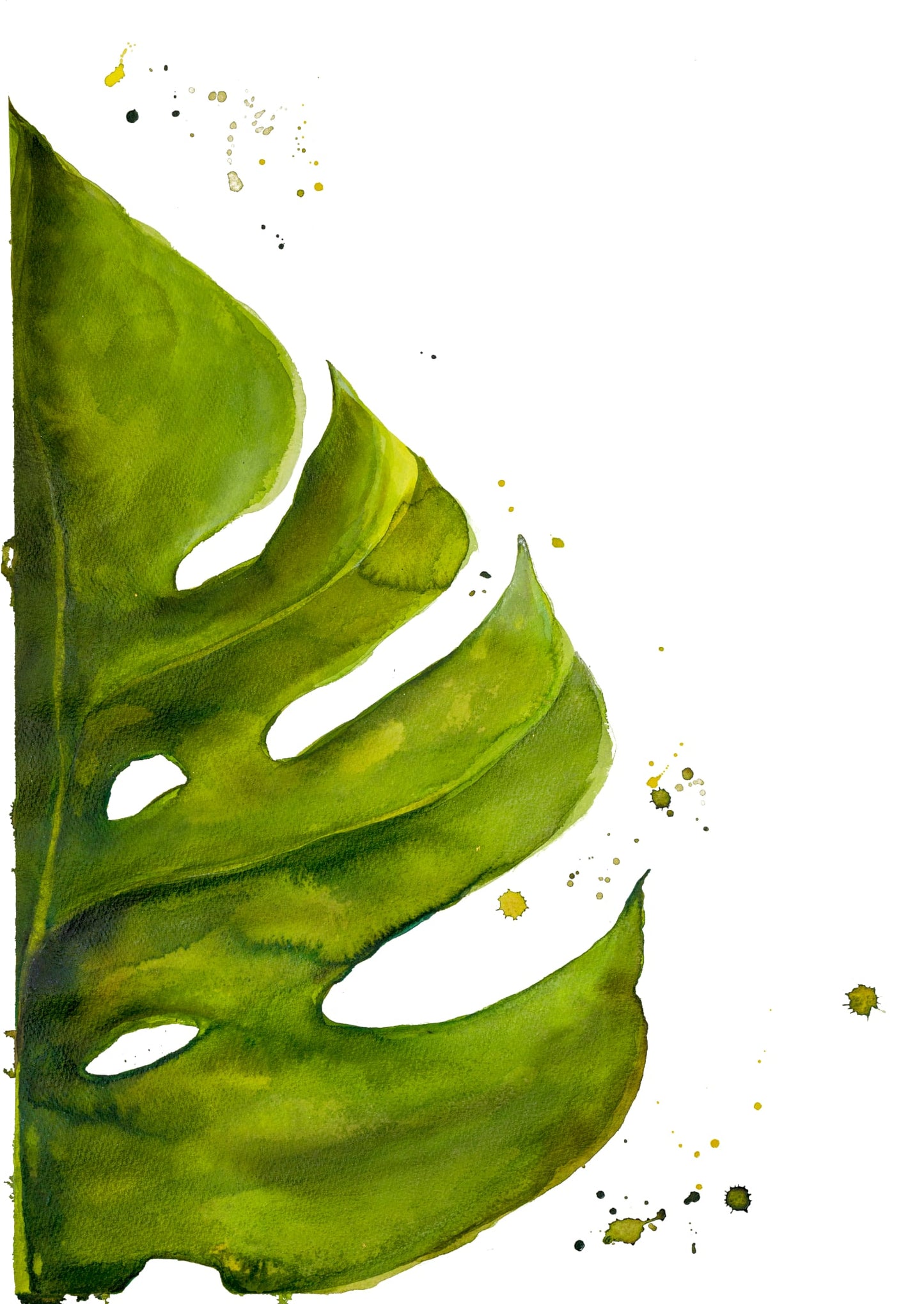 Limited Edition Fine Art Print - Monstera