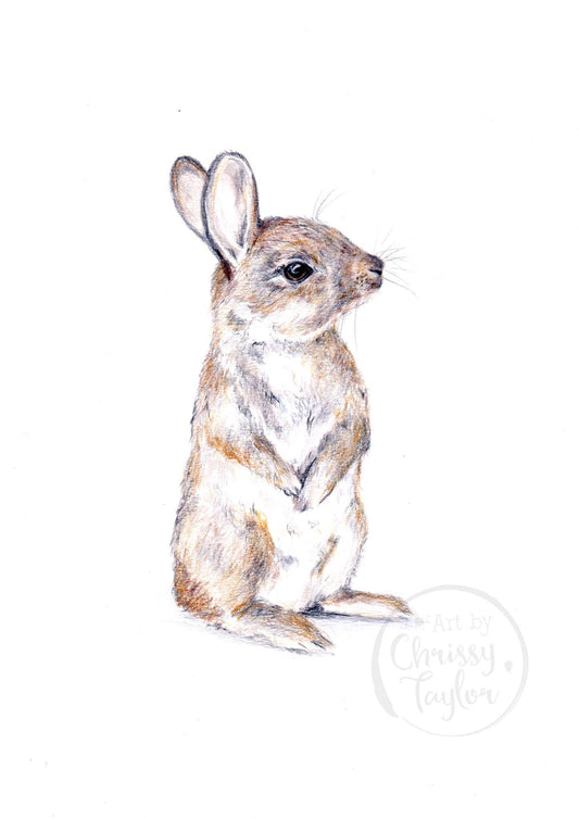 Poster Print - Bunny Rabbit Pencils