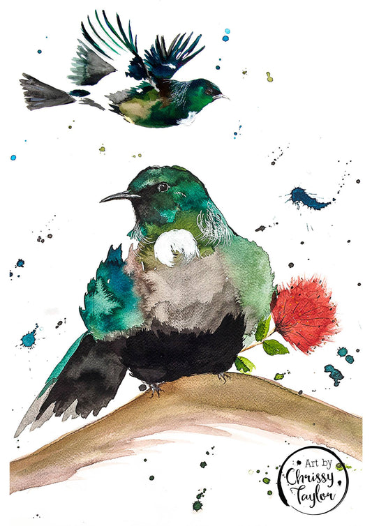 Gift Cards 5 Pack Assorted - Birds