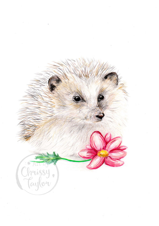 Limited Edition Fine Art print - Hedgehog