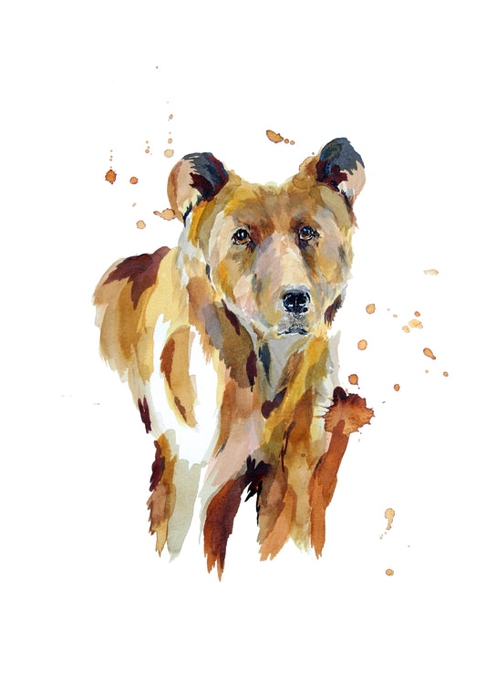 Limited Edition Fine Art Print - Bear