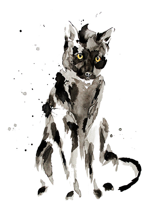 Poster Print - Cat