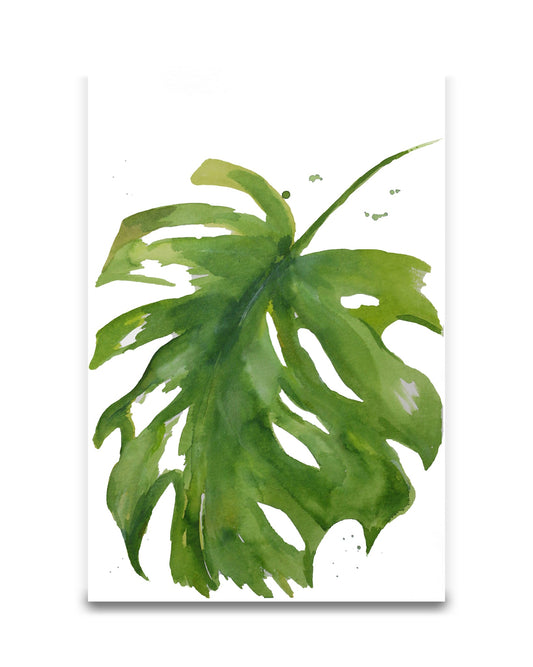 Original - Monstera