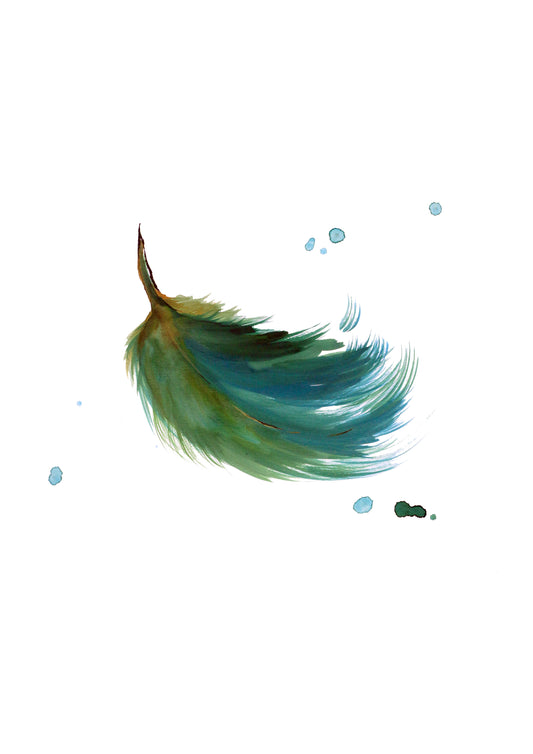 Gift Cards 5 Pack Assorted - Birds & Feathers