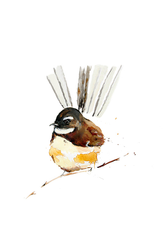 Limited Edition Fine Art Print - Fantail