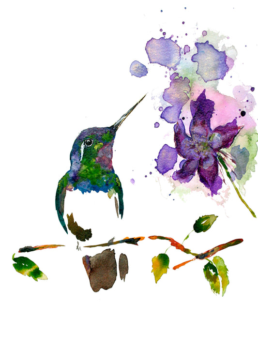 Poster Print - Hummingbird