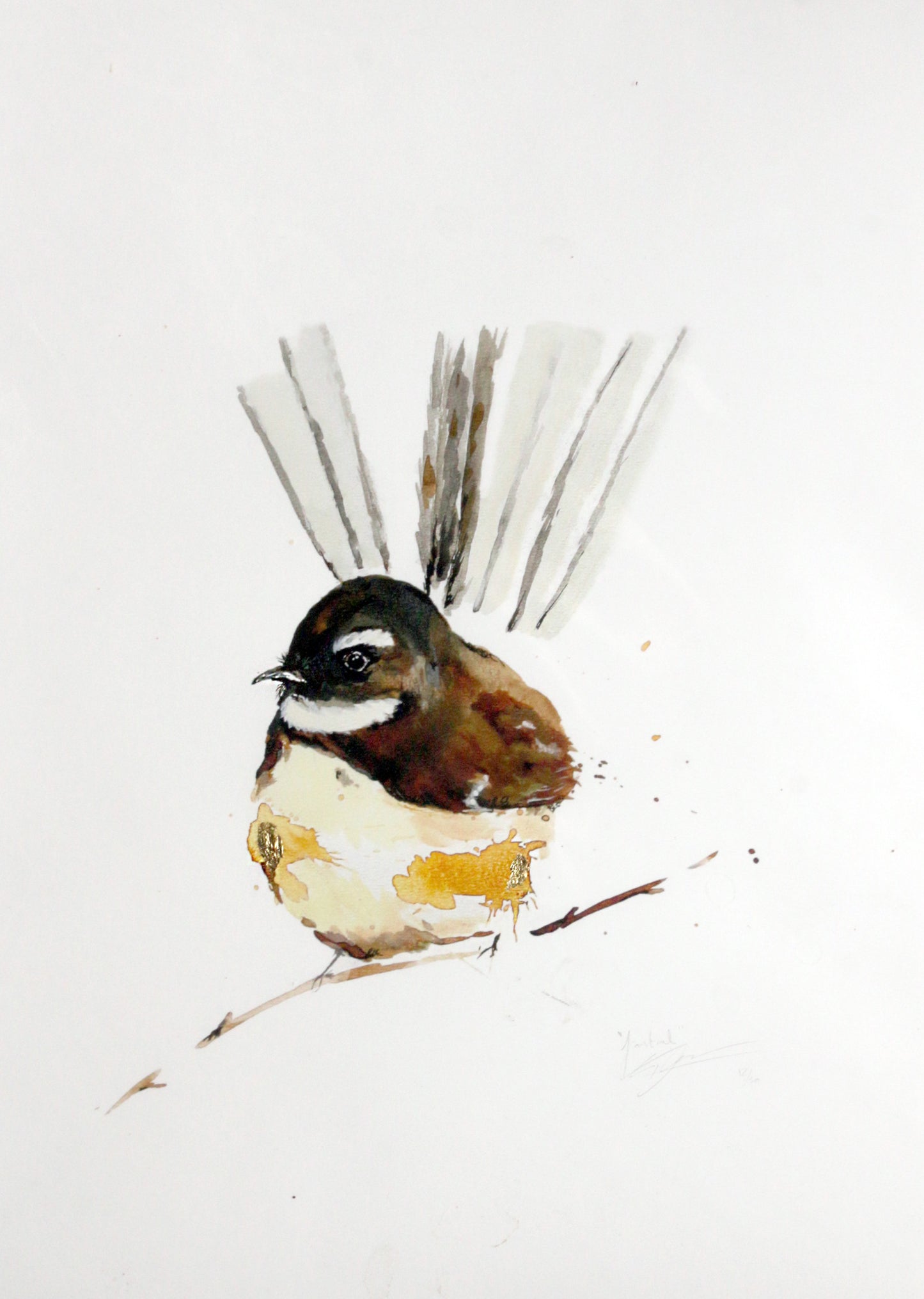Limited Edition Fine Art Print - Fantail