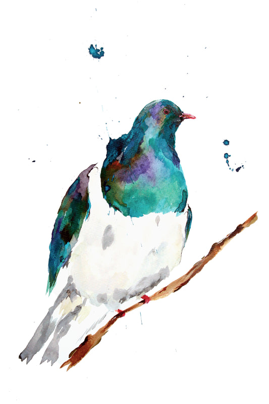 Limited Edition Fine Art Print - Kereru