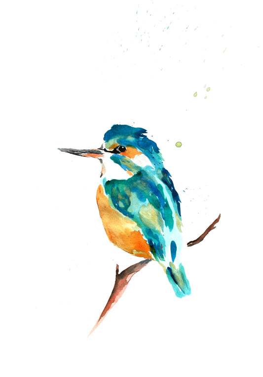 Poster Print - Kingfisher Metallic