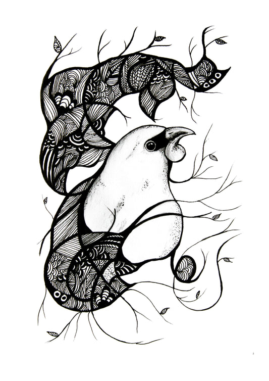 Limited Edition Fine Art Print - Kokako