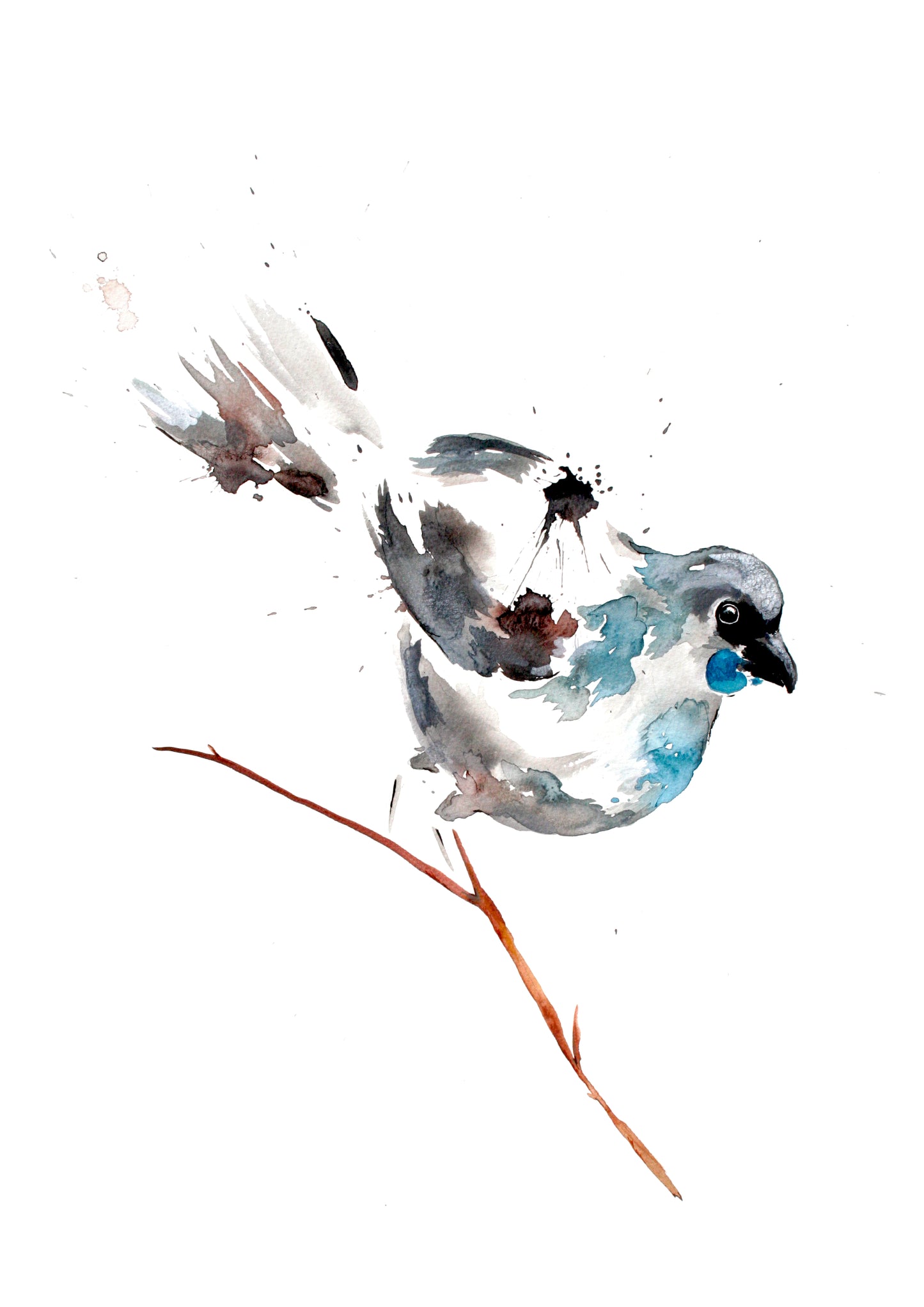 Poster Print - Kokako