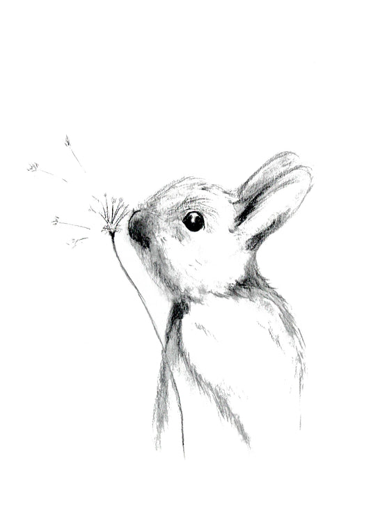 Poster Print - Make a Wish Rabbit