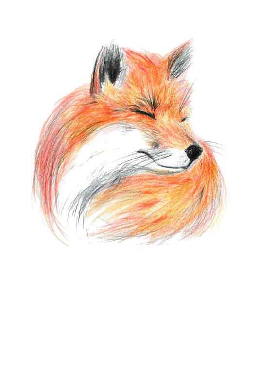 Poster Print - Penelope Fox