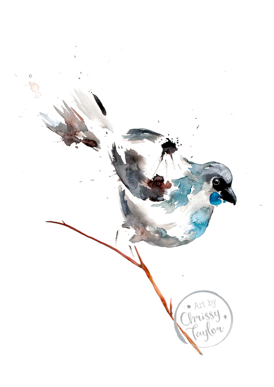Limited Edition Fine Art Print - Kokako