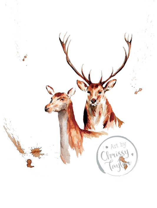 Limited Edition Fine Art Print - Deer