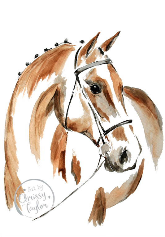 Poster Print - Bay Horse