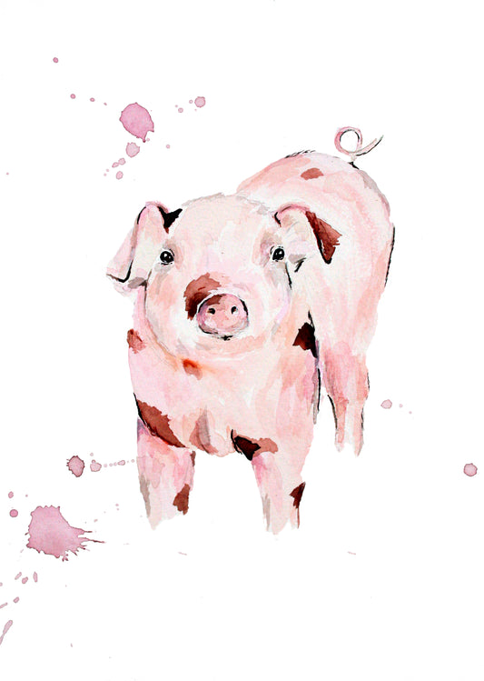 Gift Cards 5 Pack Assorted - Barnyard I