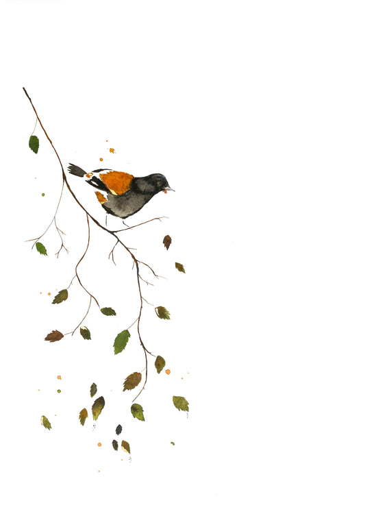 Limited Edition Fine Art Print - Birch