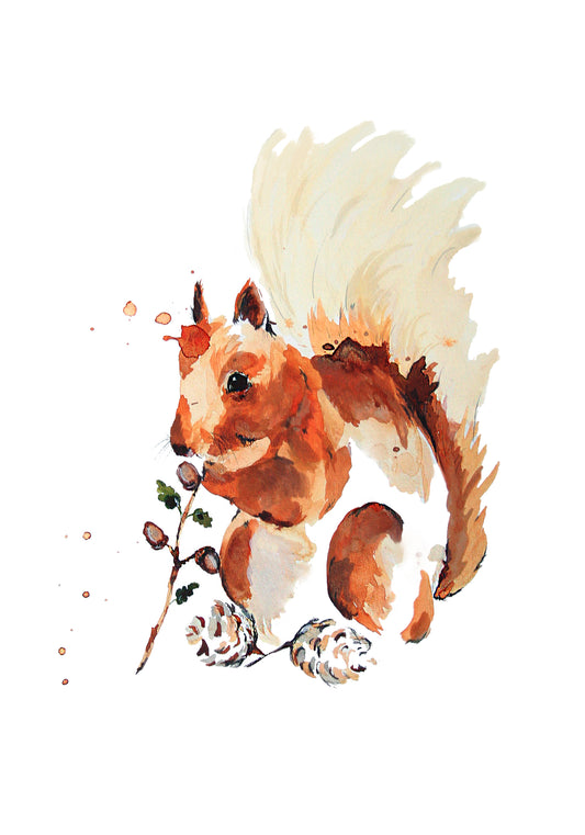 Poster Print - Squirrel
