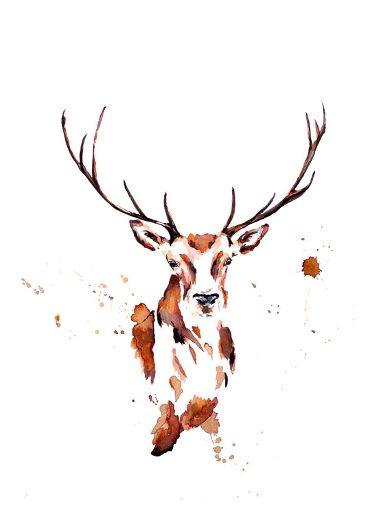 Poster Print - Stag